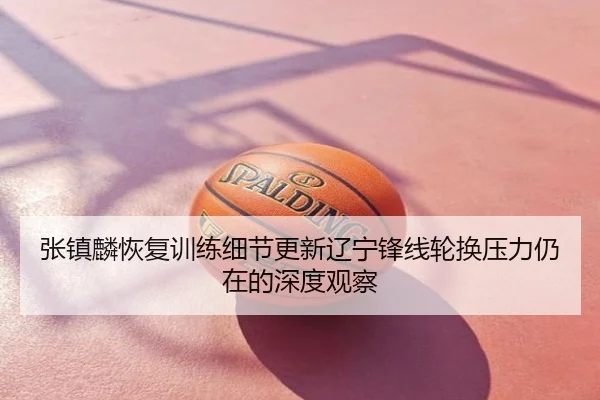 张镇麟恢复训练细节更新辽宁锋线轮换压力仍在的深度观察
